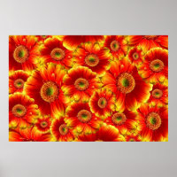 Gerbera Daisies Amarelo e Laranja