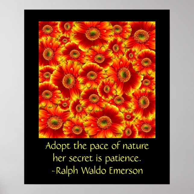 Póster Gerbera Daisies com Cotação (Frente)