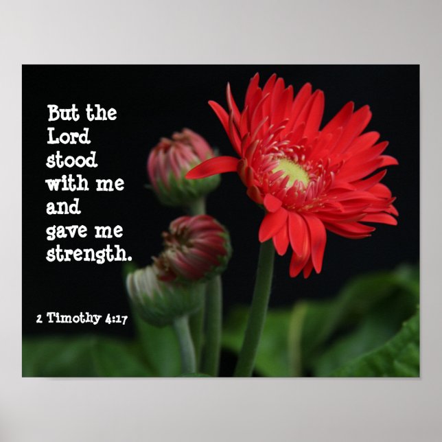 Poster Gerbera Daisy c/ Scripture Verse (Timothy 4:17) (Frente)