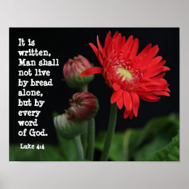 Póster Gerbera Daisy com Verso de Escritura (Luke 4:4)