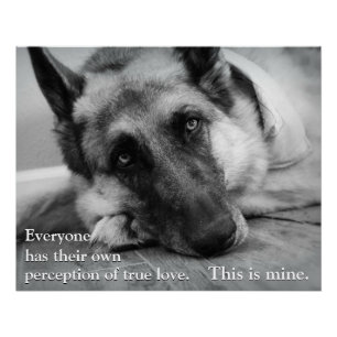 Póster German shepherd
