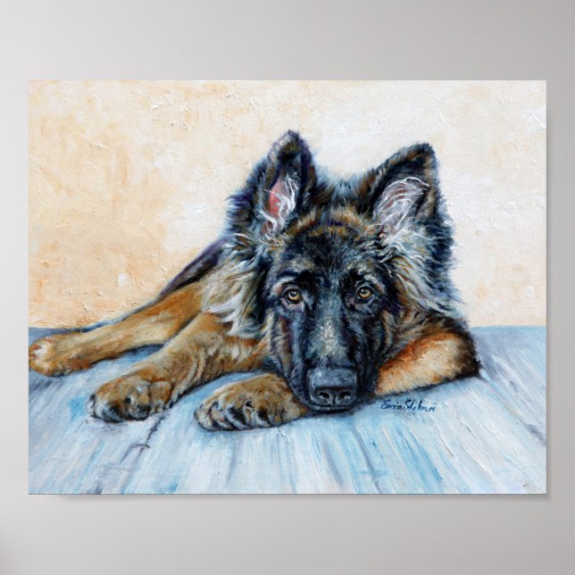 Poster german shepherd (Frente)