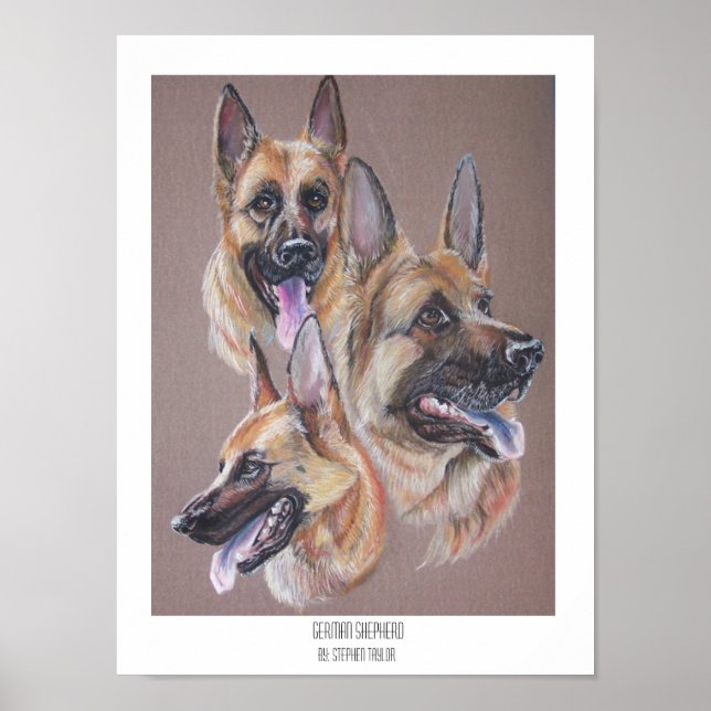Póster German shepherd (Frente)