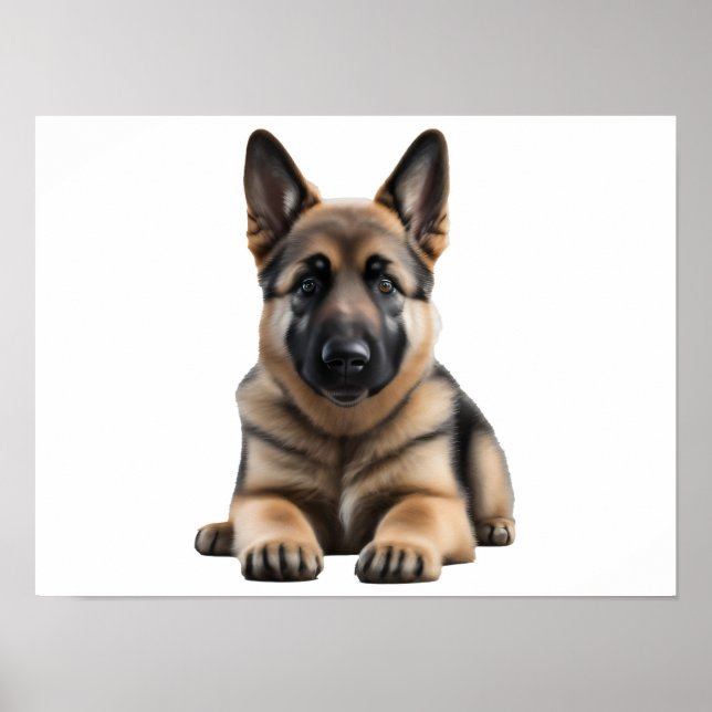 Poster German shepherd (Frente)