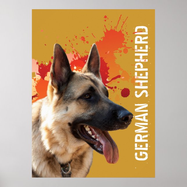 Póster German shepherd (Frente)