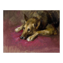 German shepherd do doente por Marino Lencim