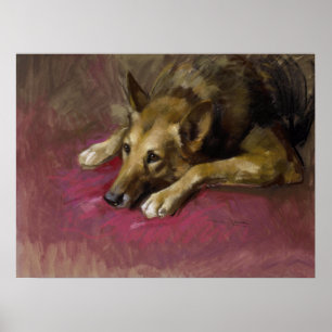 Poster German shepherd do doente por Marino Lencim