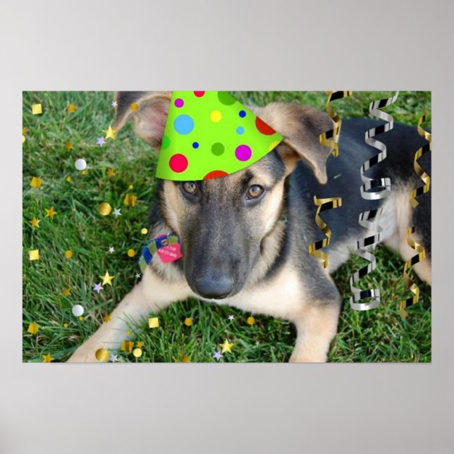 Póster German shepherd festa de aniversário (Frente)
