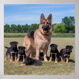 Poster German shepherd personalizável com uppies adaptáve