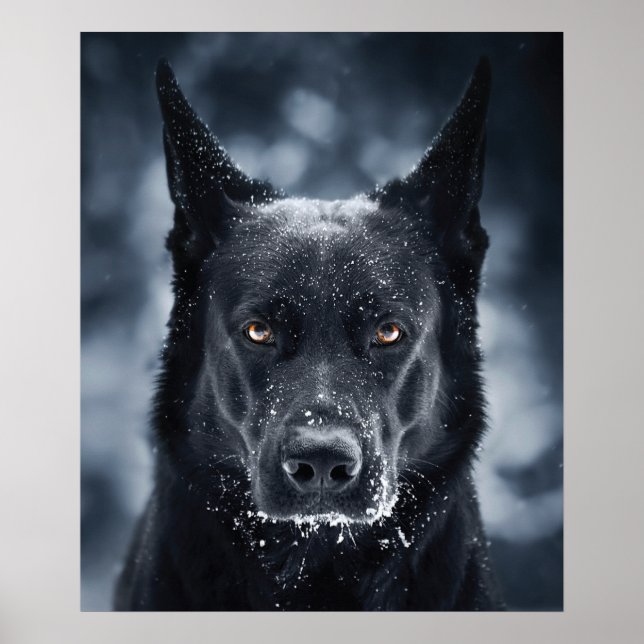 Poster German shepherd Preto (Frente)