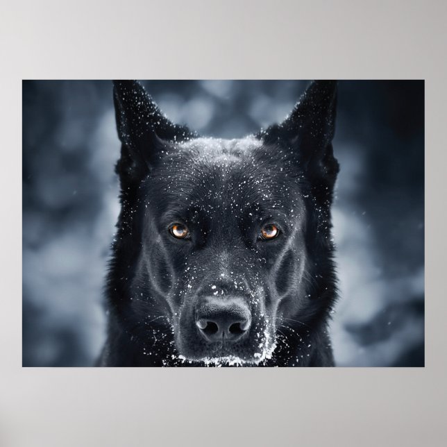 Poster German shepherd Preto (Frente)