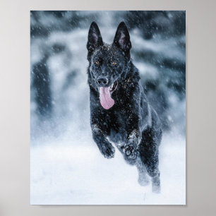 Poster German shepherd preto no Cobrir da escova de neve
