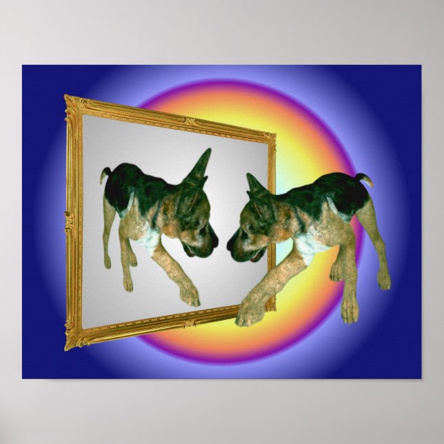 Póster German shepherd Puppy In Mirror (Frente)
