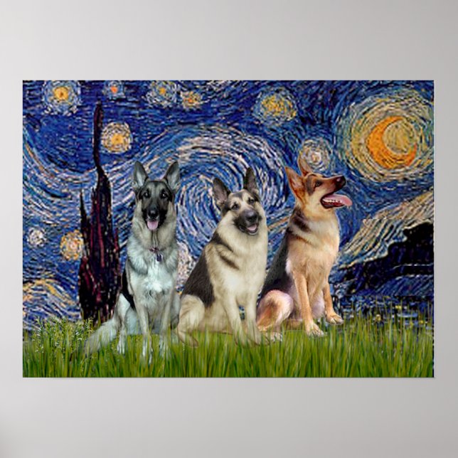 Póster German shepherd três - Noite estelar (Frente)