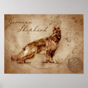 poster german shepherd Vintage