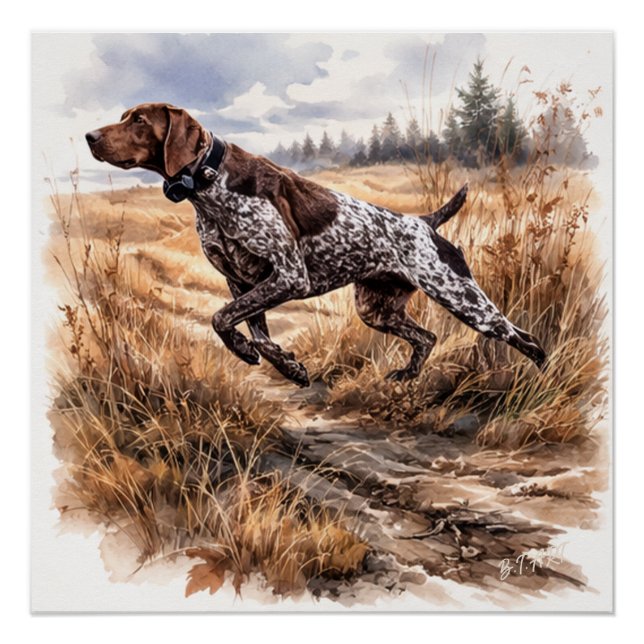 Póster  German Shorthaired Pointer  (Frente)