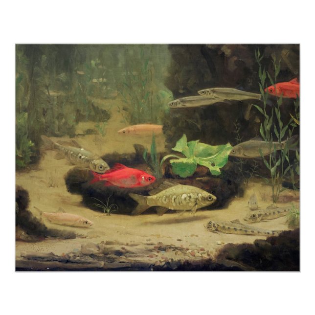Póster Gerrit Willem Dijsselhof - Dourado/Silverfish Glos (Frente)