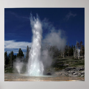 Póster Geyser grande e geyser do respiradouro em