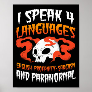 Poster Ghost Hunter Paranormal Caça Evp Spirit Hunt Ha