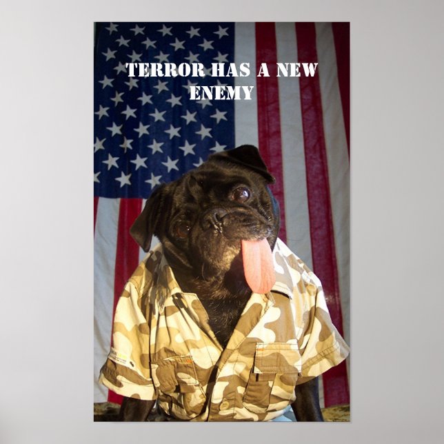 Póster GI Yogi: Lutando contra a guerra contra o terroris (Frente)