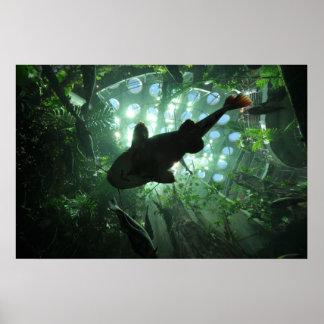 Poster Giant Catfish