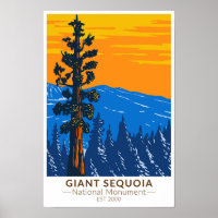 Giant Sequoia National Monument California Vintage