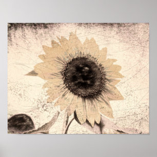 Poster Giant Vintage Sunflower Sepia Brown Textura Amarel