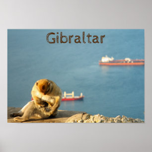 Poster Gibraltar Barbary