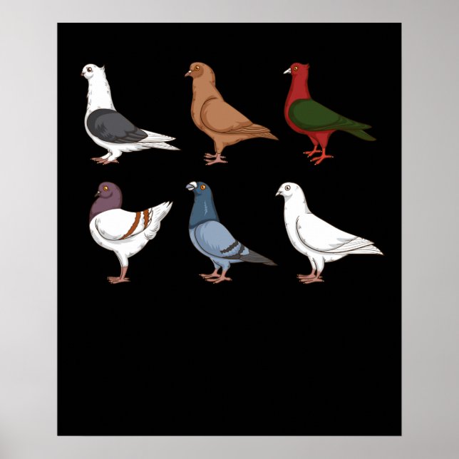 Poster Gift Men Pigeon Racing (Frente)