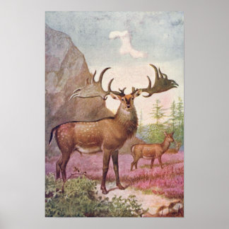 Póster Gigante Irlandês Deer Pré-Histórica Animais Antigo