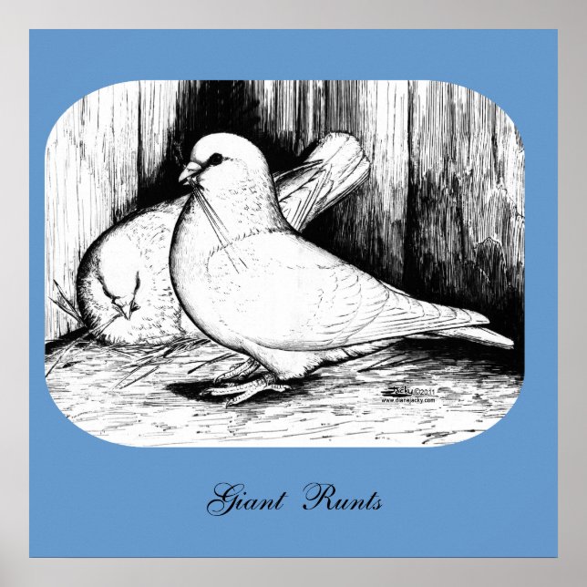 Póster Gigante Runt Pigeons (Frente)