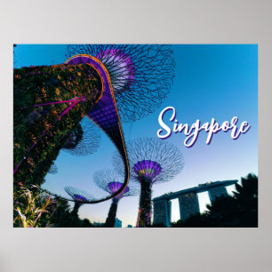 Poster Gigantes Luminescentes — Supertree Grove at Twilig