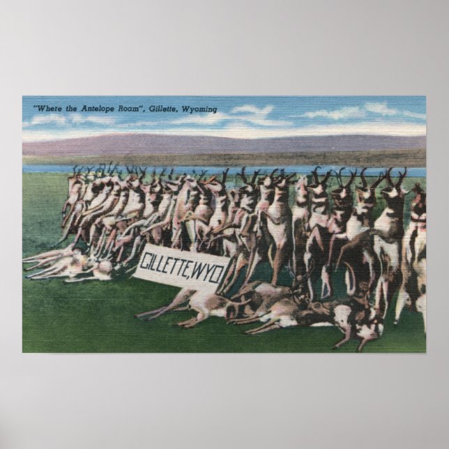 Poster Gillette, WY - Onde o Antelope Roam (Frente)