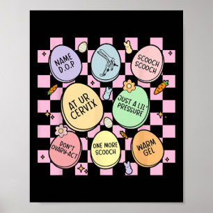 Poster Ginecologista Obstetra Ovos Coelho Enfermeira Obst