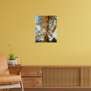 Poster Ginkgo Amarelo deixa fotografia