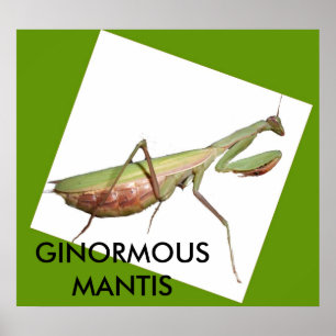 PÓSTER GINORMOUS MANTIS
