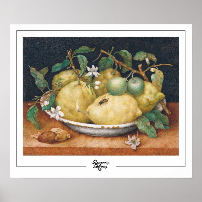 Poster Giovanna Garzoni Zedign Cartaz de Arte #4 (Frente)