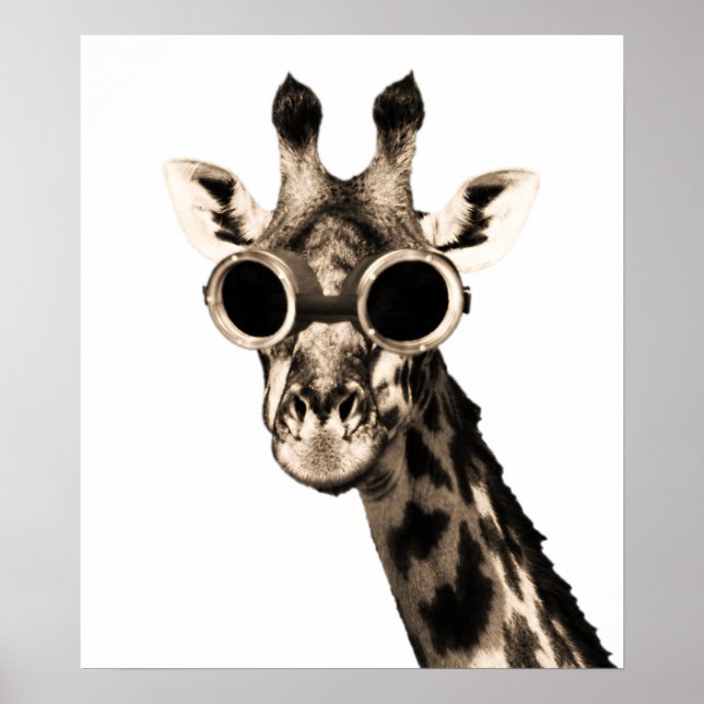 Póster Girafa com óculos de sol Steampunk (Frente)