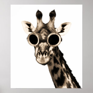 Póster Girafa com os óculos de proteção dos óculos de