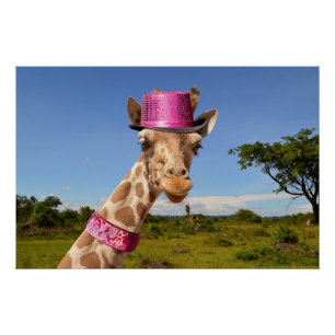 Póster Girafa de chapéu cor-de-rosa brilhante