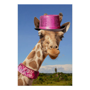 Póster Girafa de chapéu cor-de-rosa brilhante