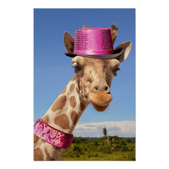 Póster Girafa de chapéu cor-de-rosa brilhante (Frente)