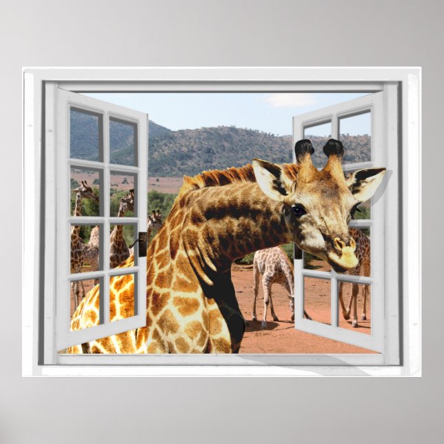Póster Girafa em Falso visão de janela Trompe l'oeil Efei (Frente)