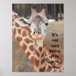 Poster girafa engraçada (16x12) não é fácil ser fo