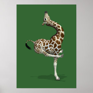 Póster Girafa Esportiva Engraçada