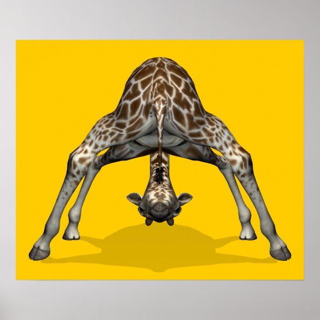 Póster Girafa ginástica (Frente)