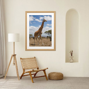 Póster Girafa Majestosa Caminhando pela Savana Africana