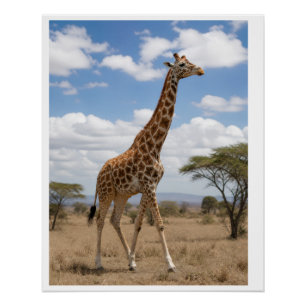Póster Girafa Majestosa Caminhando pela Savana Africana