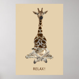 Póster Girafa Meditating