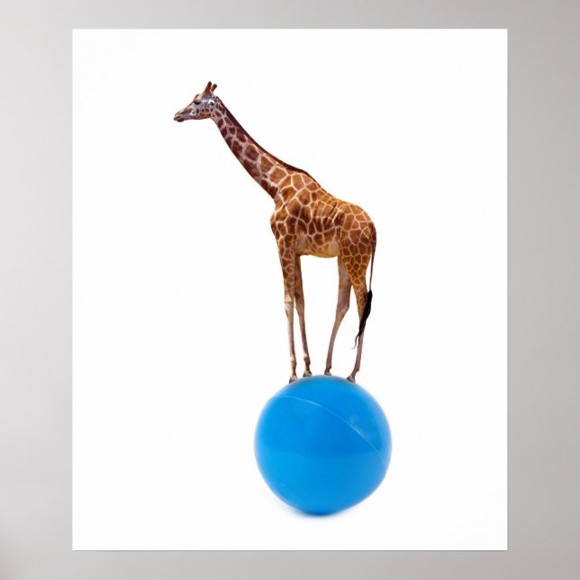 Poster Girafa na bola (Frente)